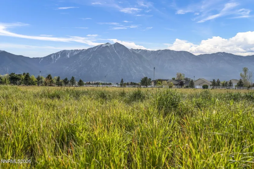 1097 Meadowlark, Gardnerville, Nevada 89460, 5 Bedrooms Bedrooms, ,3 BathroomsBathrooms,Residential,Residential,Meadowlark,260005485