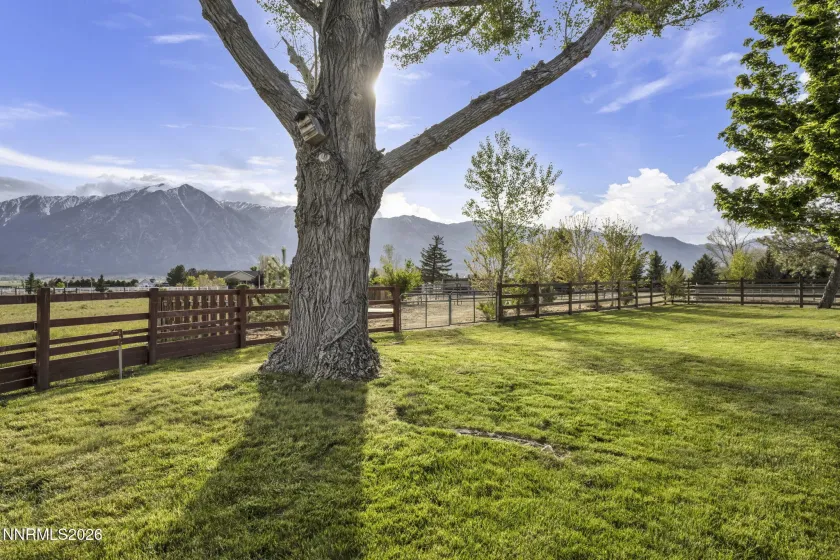 1097 Meadowlark, Gardnerville, Nevada 89460, 5 Bedrooms Bedrooms, ,3 BathroomsBathrooms,Residential,Residential,Meadowlark,260005485