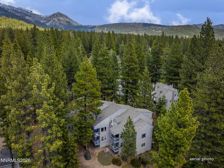 807 Alder, Incline Village, Nevada 89451, 2 Bedrooms Bedrooms, ,2 BathroomsBathrooms,Residential,Residential,Alder,260005499