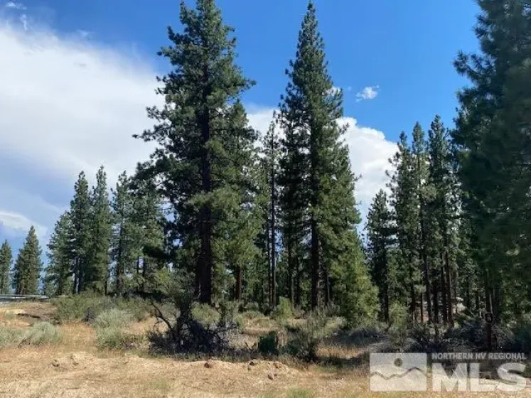 67 Boulders Bend, Carson City, Nevada 89705, ,Land,Residential,Boulders Bend,260005526