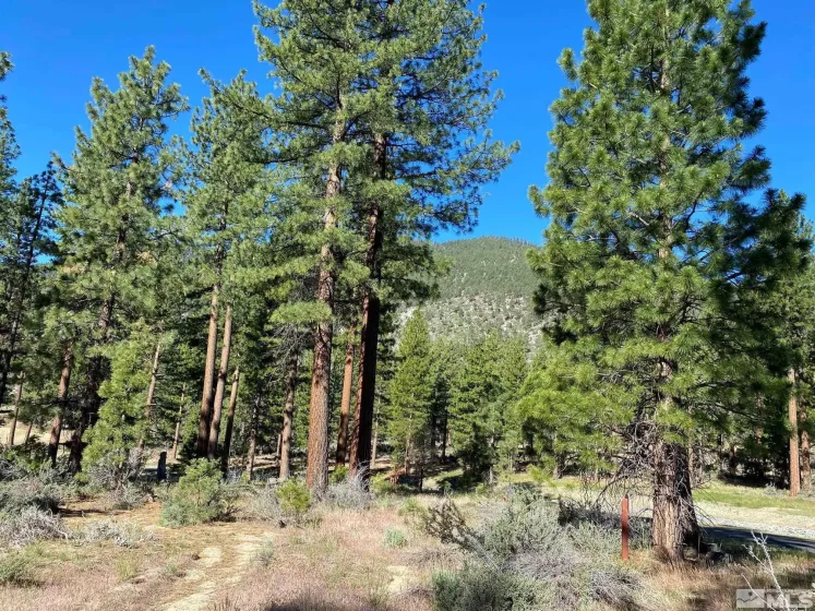 67 Boulders Bend, Carson City, Nevada 89705, ,Land,Residential,Boulders Bend,260005526