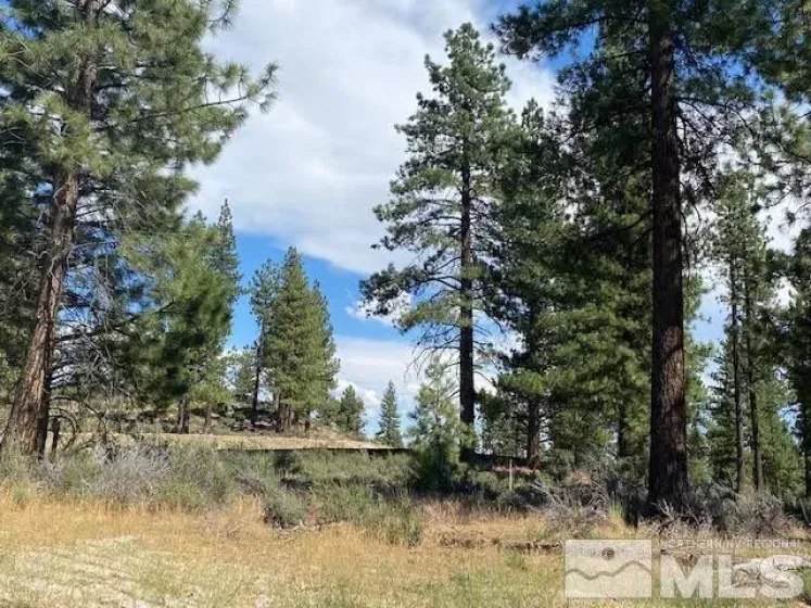 67 Boulders Bend, Carson City, Nevada 89705, ,Land,Residential,Boulders Bend,260005526