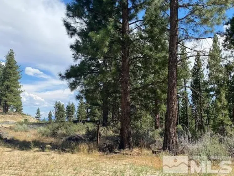 67 Boulders Bend, Carson City, Nevada 89705, ,Land,Residential,Boulders Bend,260005526