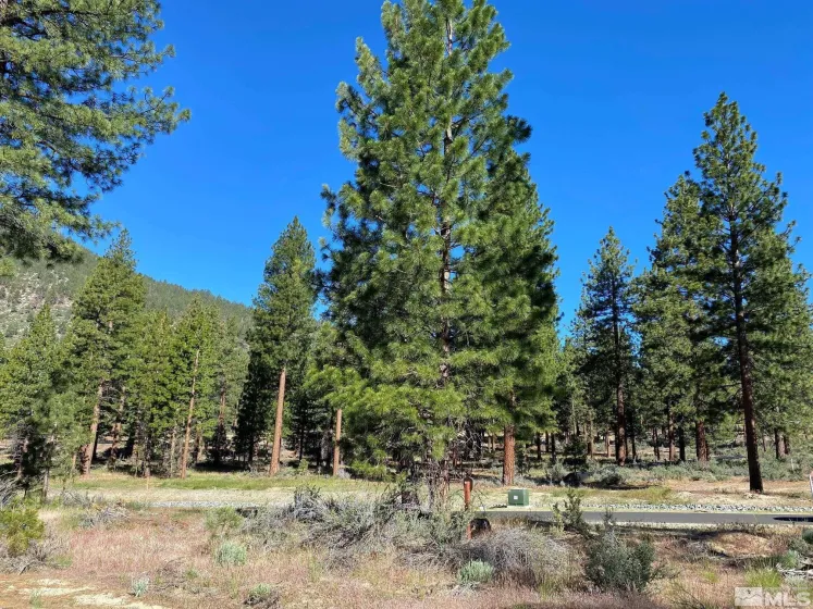 67 Boulders Bend, Carson City, Nevada 89705, ,Land,Residential,Boulders Bend,260005526