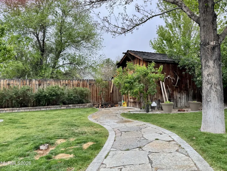 backyard