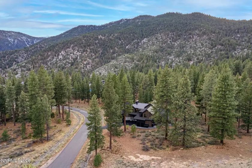 Nestled in the Pines