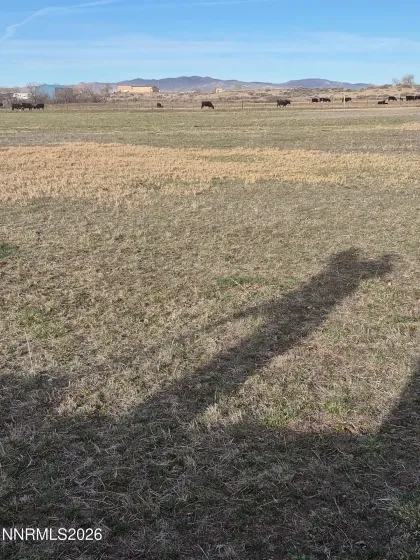 3280 Lone Tree, Fallon, Nevada 89406, 3 Bedrooms Bedrooms, ,2 BathroomsBathrooms,Farm & Ranch,Residential,Lone Tree,260005549