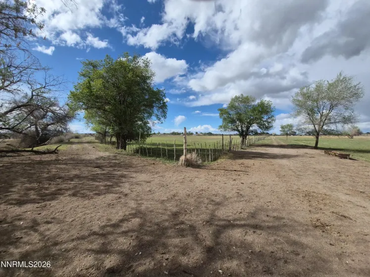 3280 Lone Tree, Fallon, Nevada 89406, 3 Bedrooms Bedrooms, ,2 BathroomsBathrooms,Farm & Ranch,Residential,Lone Tree,260005549