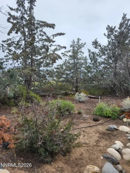 1575 Shirley, Minden, Nevada 89423, 3 Bedrooms Bedrooms, ,2 BathroomsBathrooms,Residential,Residential,Shirley,260005566