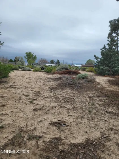1575 Shirley, Minden, Nevada 89423, 3 Bedrooms Bedrooms, ,2 BathroomsBathrooms,Residential,Residential,Shirley,260005566