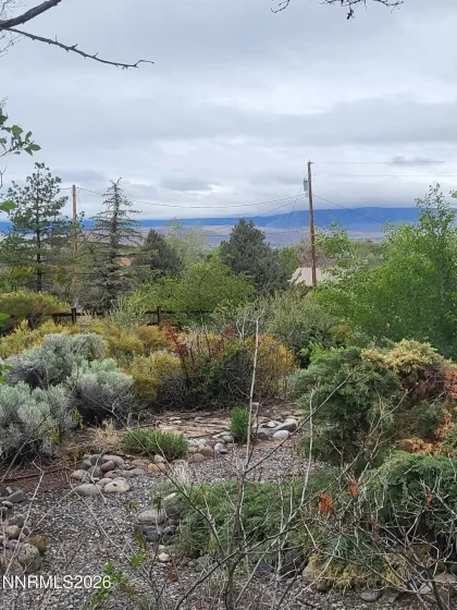 1575 Shirley, Minden, Nevada 89423, 3 Bedrooms Bedrooms, ,2 BathroomsBathrooms,Residential,Residential,Shirley,260005566