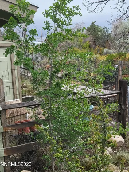 1575 Shirley, Minden, Nevada 89423, 3 Bedrooms Bedrooms, ,2 BathroomsBathrooms,Residential,Residential,Shirley,260005566
