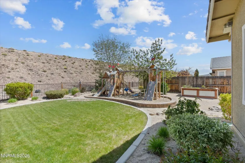 Back yard