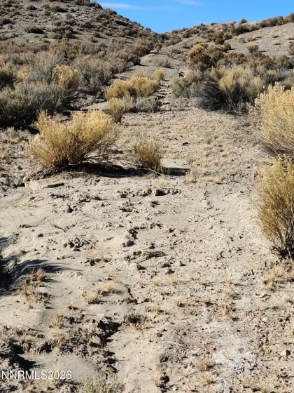 0 T29N, R52E SEC. 31 N2S2N 0 T29N, R52E SEC. 31 N2S2NW4, Carlin, Nevada 89822, ,Land,Residential,0 T29N,R52E SEC. 31 N2S2NW4,260005575