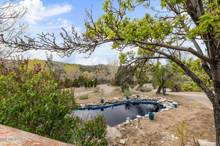 2120 Fish Springs, Gardnerville, Nevada 89410, 2 Bedrooms Bedrooms, ,2 BathroomsBathrooms,Residential,Residential,Fish Springs,260005576