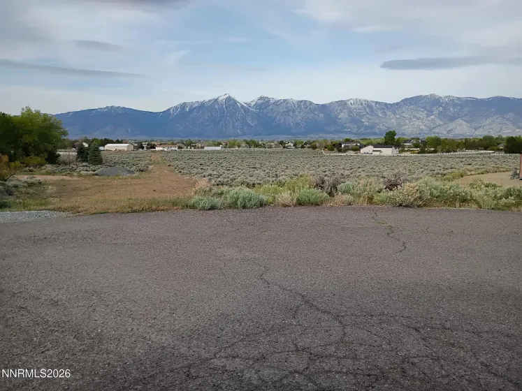 1482 Wild Iris, Gardnerville, Nevada 89410, ,Land,Residential,Wild Iris,260005578