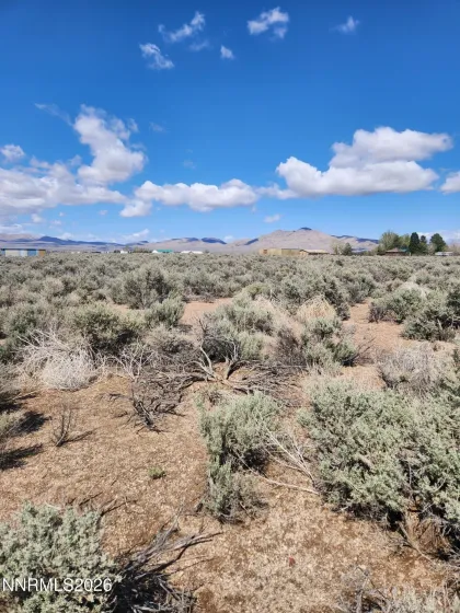 42 Acciari, Smith, Nevada 89430, ,Land,Residential,Acciari,260005594