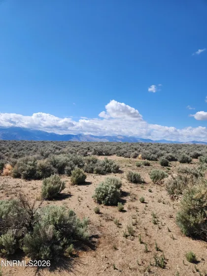 42 Acciari, Smith, Nevada 89430, ,Land,Residential,Acciari,260005594