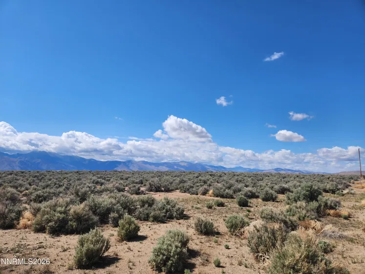 42 Acciari, Smith, Nevada 89430, ,Land,Residential,Acciari,260005594