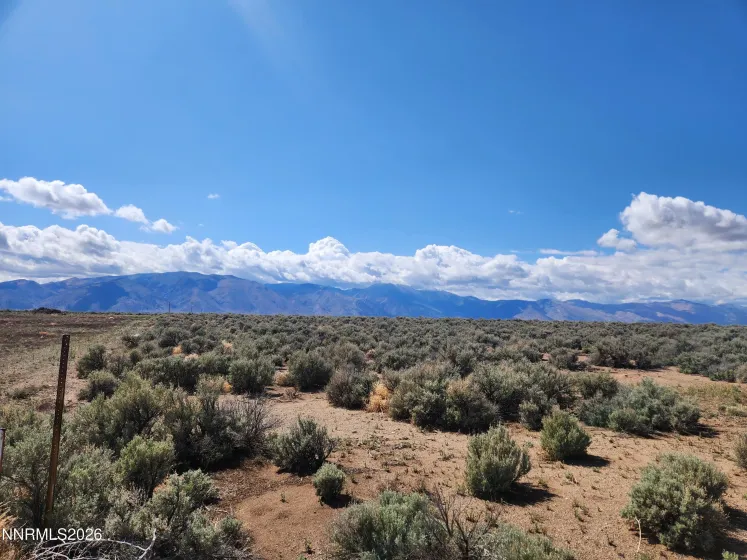 2101 State Route 208, Smith, Nevada 89430, ,Land,Residential,State Route 208,260005593