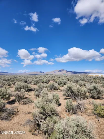 2101 State Route 208, Smith, Nevada 89430, ,Land,Residential,State Route 208,260005593