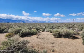 19 Acciari, Smith, Nevada 89430, ,Land,Residential,Acciari,260005595