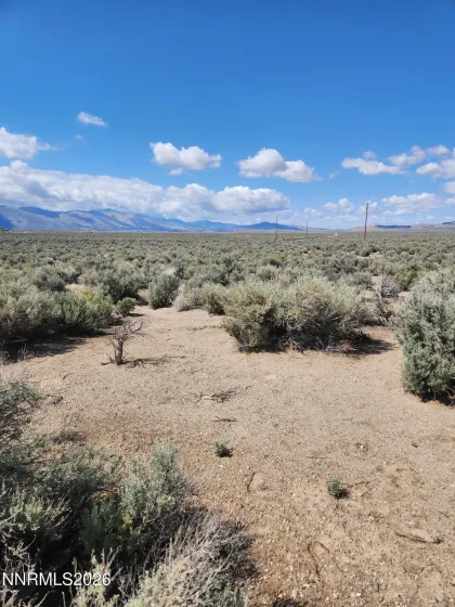 19 Acciari, Smith, Nevada 89430, ,Land,Residential,Acciari,260005595