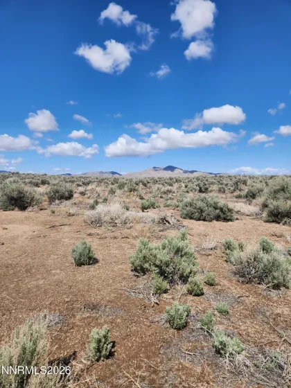 19 Acciari, Smith, Nevada 89430, ,Land,Residential,Acciari,260005595