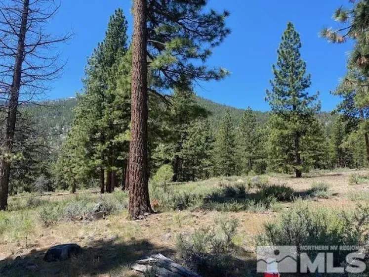 3584 Knob Point, Carson City, Nevada 89705, ,Land,Residential,Knob Point,0,260005609