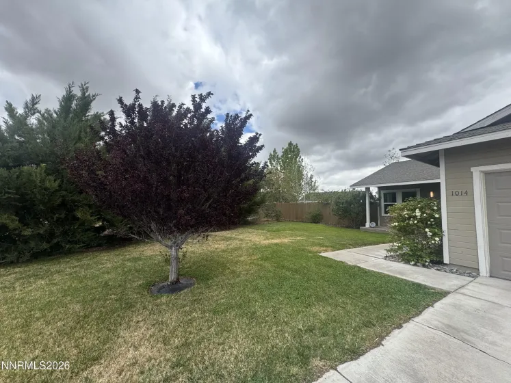 1014 Prosser, Fernley, Nevada 89408, 3 Bedrooms Bedrooms, ,2 BathroomsBathrooms,Residential,Residential,Prosser,260005613