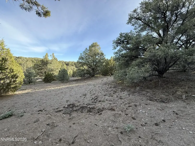 21695 Dortort, Reno, Nevada 89521, ,Land,Residential,Dortort,0,260005620