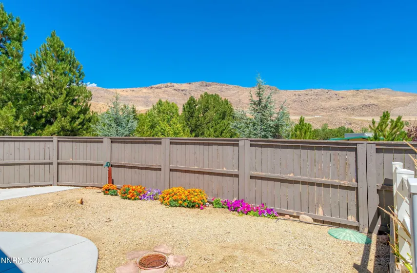 Side Yard