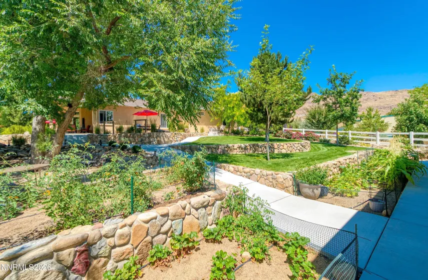 Backyard Garden