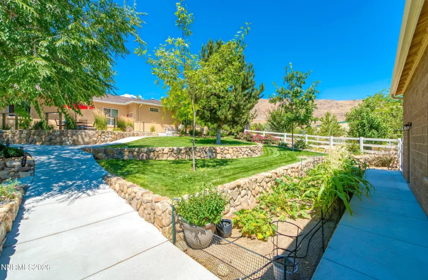 Backyard
