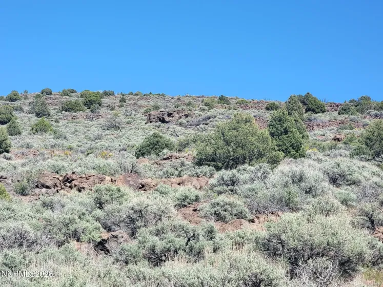 3120 Sheridan, Reno, Nevada 89521, ,Land,Residential,Sheridan,0,260005929