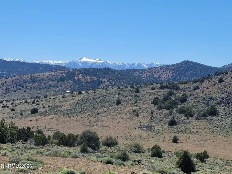 3120 Sheridan, Reno, Nevada 89521, ,Land,Residential,Sheridan,0,260005929