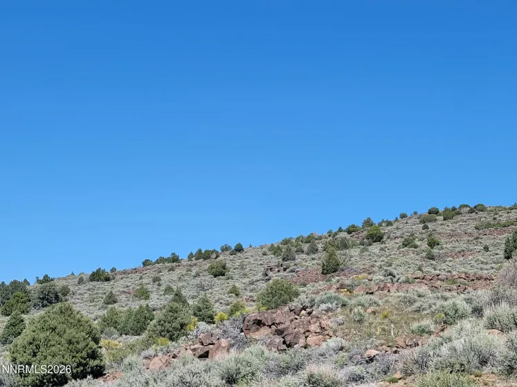 3120 Sheridan, Reno, Nevada 89521, ,Land,Residential,Sheridan,0,260005929