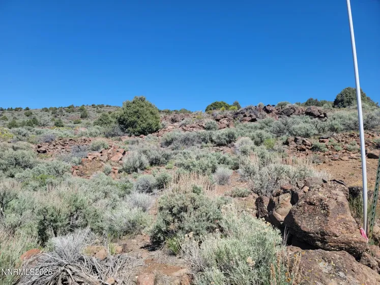 3120 Sheridan, Reno, Nevada 89521, ,Land,Residential,Sheridan,0,260005929