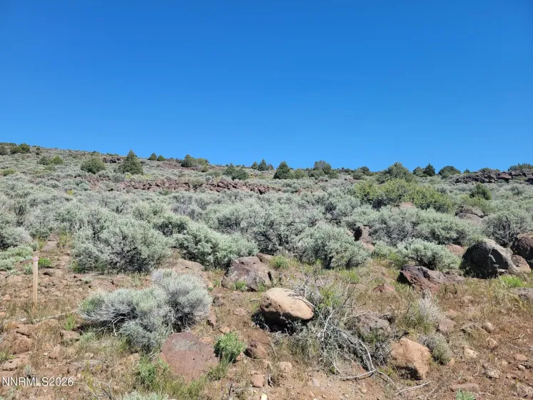3120 Sheridan, Reno, Nevada 89521, ,Land,Residential,Sheridan,0,260005929