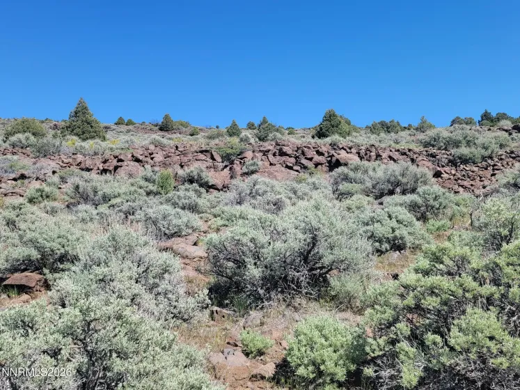 3120 Sheridan, Reno, Nevada 89521, ,Land,Residential,Sheridan,0,260005929