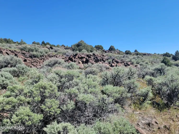 3120 Sheridan, Reno, Nevada 89521, ,Land,Residential,Sheridan,0,260005929