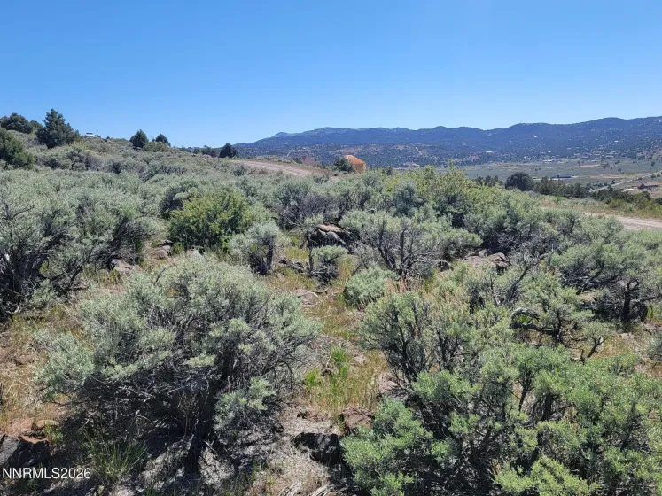 3120 Sheridan, Reno, Nevada 89521, ,Land,Residential,Sheridan,0,260005929