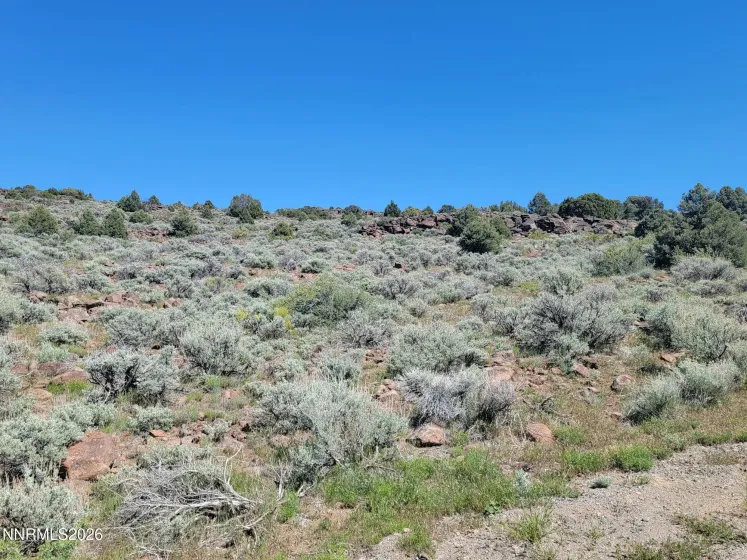 3120 Sheridan, Reno, Nevada 89521, ,Land,Residential,Sheridan,0,260005929