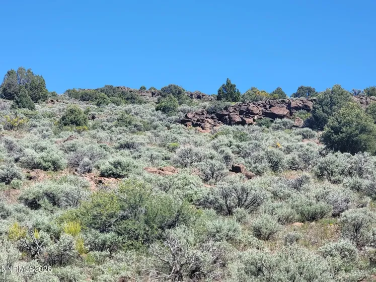 3120 Sheridan, Reno, Nevada 89521, ,Land,Residential,Sheridan,0,260005929