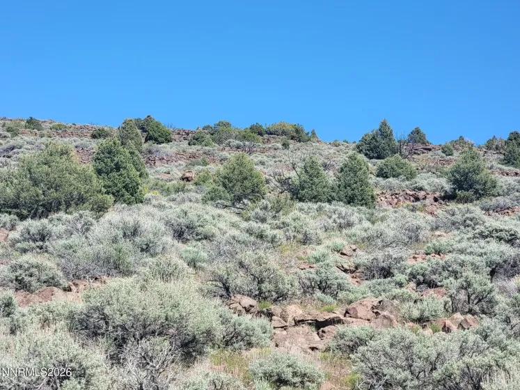 3120 Sheridan, Reno, Nevada 89521, ,Land,Residential,Sheridan,0,260005929