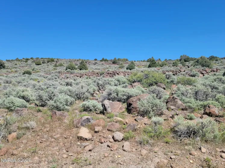 3120 Sheridan, Reno, Nevada 89521, ,Land,Residential,Sheridan,0,260005929