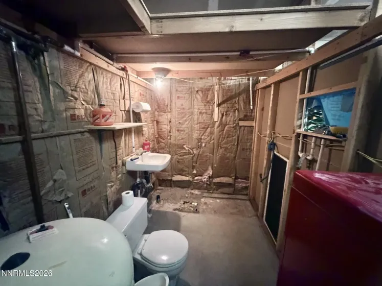 garage bathroom