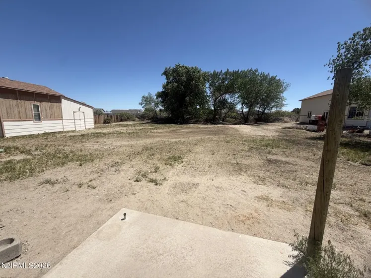 back yard