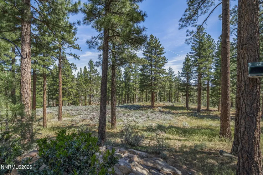 255 Timbercreek, Reno, Nevada 89511, 4 Bedrooms Bedrooms, ,6 BathroomsBathrooms,Residential,Residential,Timbercreek,0,260005972