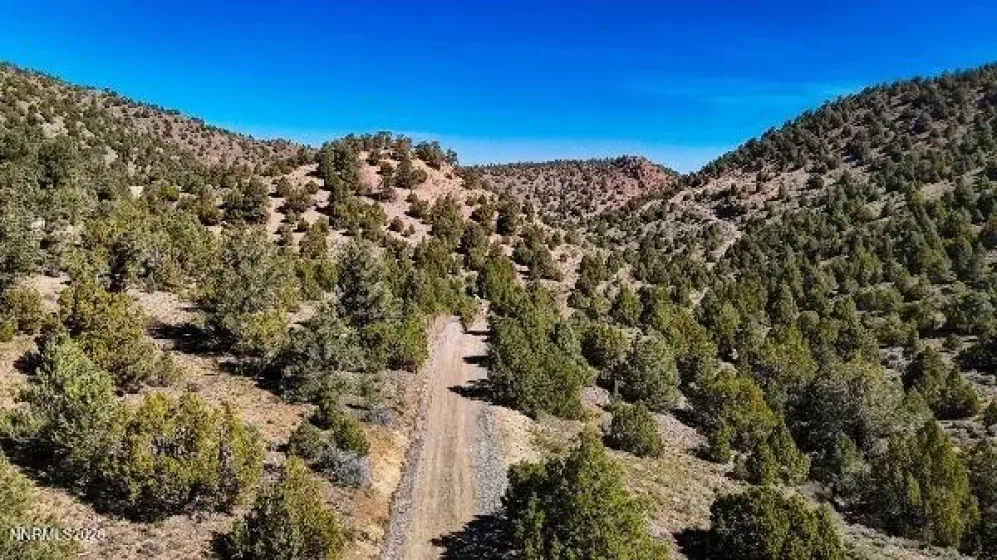 2120 Castle Peak, Reno, Nevada 89521, ,Land,Residential,Castle Peak,0,260006015